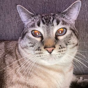 Meet your Posher, False